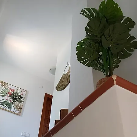 Rosalalinda - Cosy Semi-detached With Sea Views And Large Terrace Casa vacanze